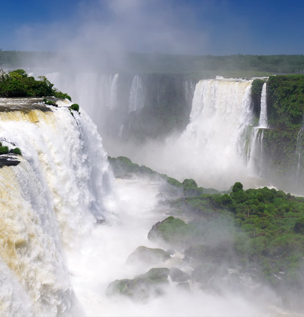 Imagem do Fox do Iguaçu